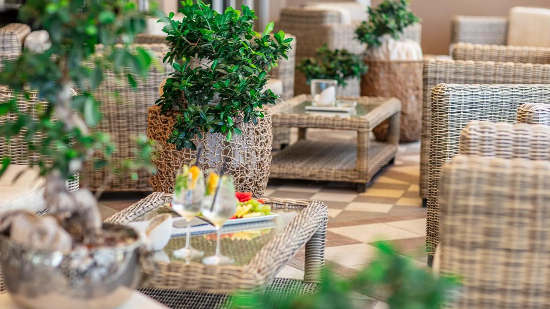 Hotel Excelsior بيبيوني